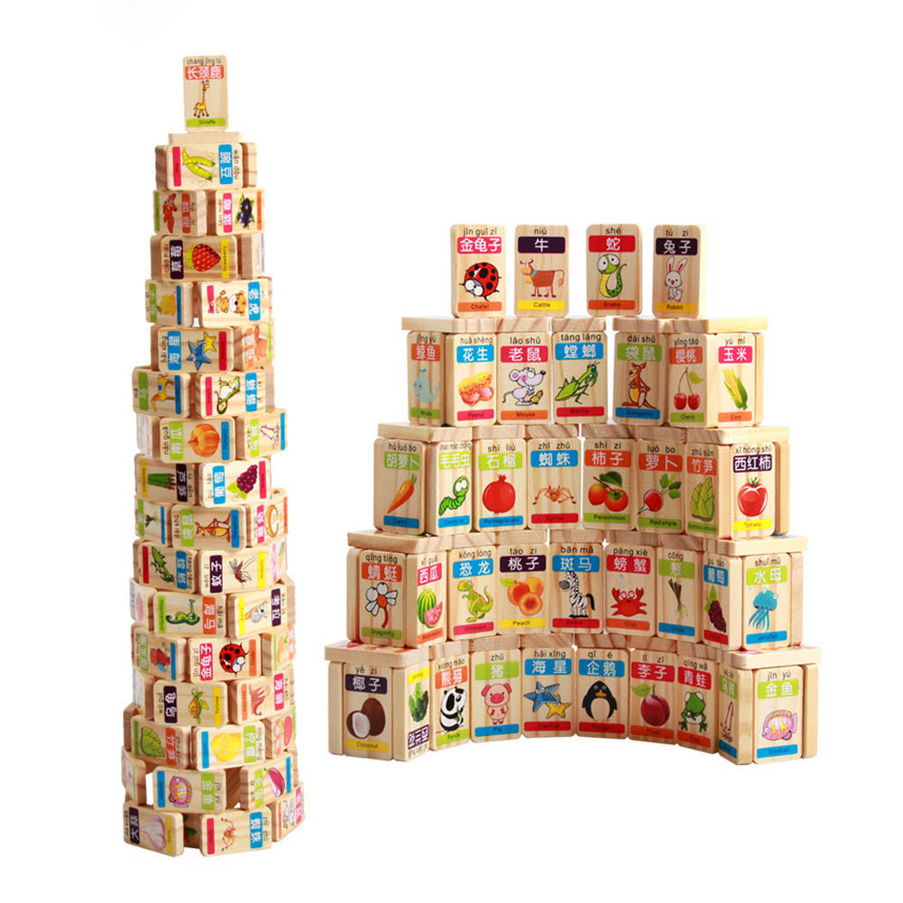 100pcs Fruit Animal Domino Blocks Toy Safe Baby Wooden Toys Blocks Educational Toys for Kid Birthday Gift