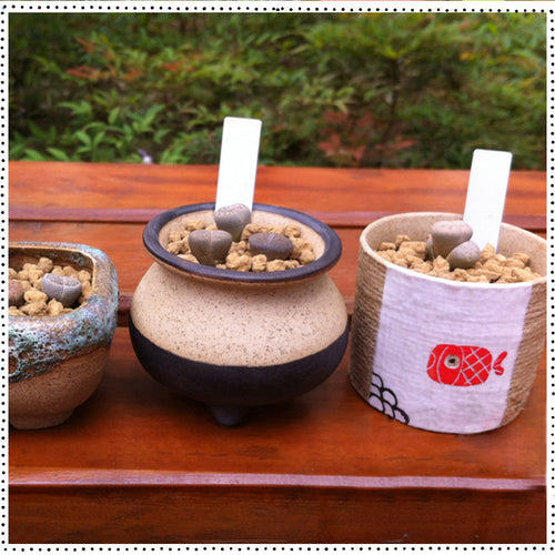 100x Rigid Plastic Waterproof Handwritten Reusable Garden Plant Seed Label Tool 69937