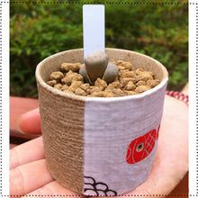 100x Rigid Plastic Waterproof Handwritten Reusable Garden Plant Seed Label Tool 69937