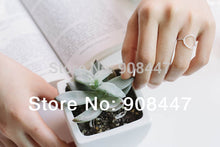 10PCS Open Round rings Unique Rings Couple rings Simple Shape Round Ring