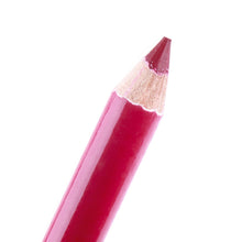 12 PCsSet Waterproof Lip Liner Pencil Long Lasting 15CM Lip liner pen makeup