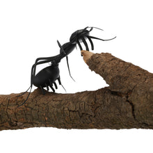 Solar Ant Cute Kids Toys Magic Solar Powered Ant Insect Play & Learn Educational Solar Toys for Children