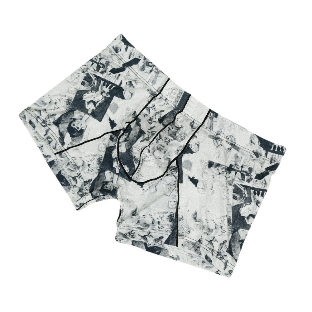 Modal Underwear Men Sexy Mens Boxers Shorts Pattern Print Comfortable Breathable Men Underpants Plus Size L-XXL