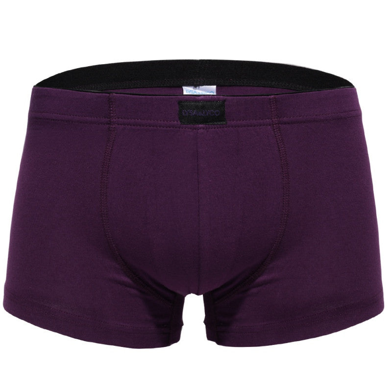 Sexy Boxers Men Underwear Trunks Shorts Bulge Pouch Comfortable Underpants Boxer Homme