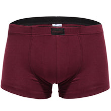Sexy Boxers Men Underwear Trunks Shorts Bulge Pouch Comfortable Underpants Boxer Homme