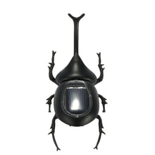 Solar Beetle Cute Interesting Kids Toys Solar Powered Energy Beetle Original Educational Solar Toys for Children