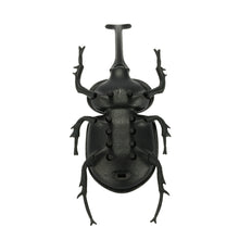 Solar Beetle Cute Interesting Kids Toys Solar Powered Energy Beetle Original Educational Solar Toys for Children