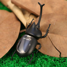 Solar Beetle Cute Interesting Kids Toys Solar Powered Energy Beetle Original Educational Solar Toys for Children